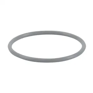 PATLITE B25110032-F1 O-Ring, Silicone | CV7UMA