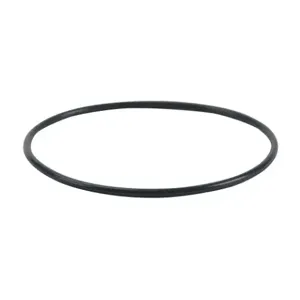 PATLITE Z35721038-056F1 O-Ring, Silicone | CV7UMC