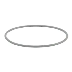 PATLITE Z35721039-F1 O-Ring, Silicone | CV7UMD