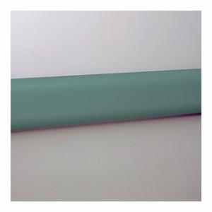 PAWLING CORP WG-3-12-377 Wall Protection Guard, 2 15/16 Inch Heightt, 144 Inch Length, 1 Inch Thick, Teal | CT7NJG 43Z490