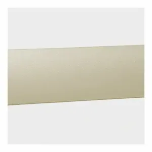 PAWLING CORP WG-7-12-2 Wall Protection Guard, 8 Inch Heightt, 144 Inch Length, 1 3/8 Inch Thick, Ivory | CT7NMJ 43Z526