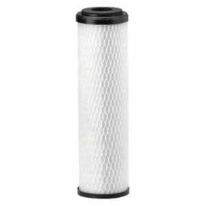 PENTAIR EV910815-75 Quick Connect Filter, 5 Micron, 1.7 GPM, 6000 Gallon, 9 3/4 Inch Overall Height | CT7PXM 53GK19