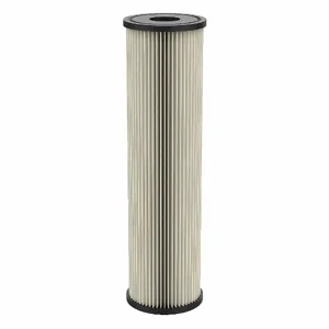 PENTEK 155001-75 Filter Cartridge, Pleated, 10 gpm, 20 micron, 9 3/4 Inch Height | CJ2ELF 53DP12