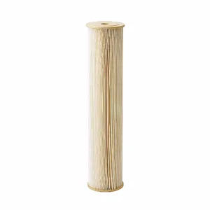 PENTEK 255493-75 Filter Cartridge, Pleated, 20 gpm, 1 micron, 20 Inch Height | CJ2EMA 4PAY4