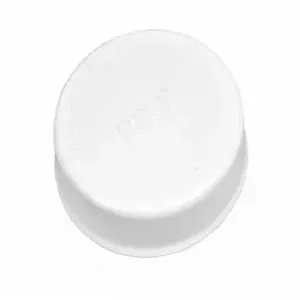 PETERSEN PRODUCTS 142-92015 Test Cap, End Cap Style, 1.5 Inch Size | CF2ZWA