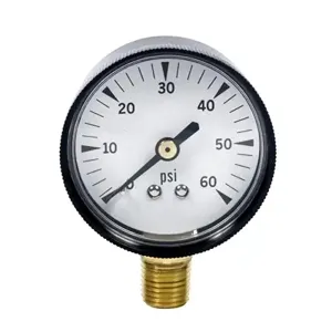 PETERSEN PRODUCTS 924-1304-6060 Pressure Gauge, Ball Pressure, 0 - 60 Psi | CF2ZBN