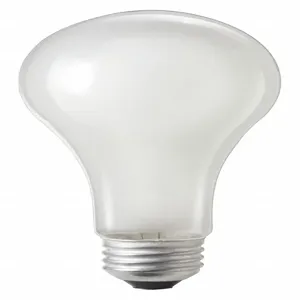 PHILIPS 30/100A/WL 120V 12/1 Incandescent Bulb, A21, Medium Screw, 300/960/1260 Lm, 30/100W | CH6JLV 492Z75