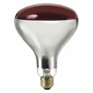 PHILIPS 250R40/HR/TG 4/1 Incandescent Bulb, R40, Medium Screw, 250W Watts | CT7RDF 493A03