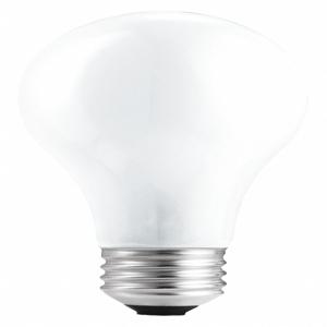 PHILIPS 43A19/EV Halogen Bulb, Medium Screw, 750 Lm, Standard Bulb, 43W, Pack Of 2 | CH6JWH 492Z30