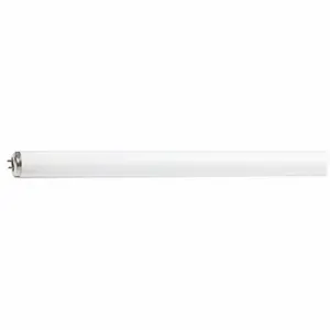 PHILIPS F15T12/CW 30PK Linear Fluorescent, T12 | CV4NCB 796NU9