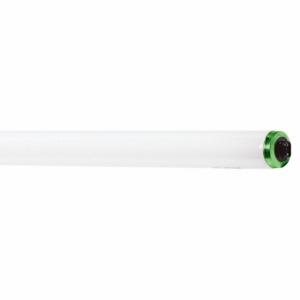 PHILIPS F48T12/CW/HO ALTO 15PK Linear Fluorescent Bulb, T12, Recessed Double Contact, 4 ft Nominal Length, 4100K | CT7RAE 492Y06