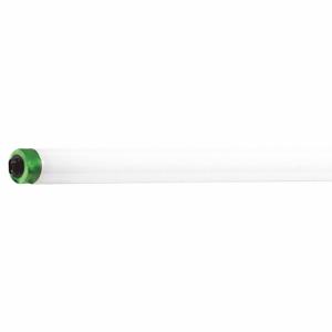 PHILIPS F96T8/TL841/HO/PLUS ALTO 25/1 Linear Fluorescent Bulb, T8, Recessed Double Contact, 8 ft Nominal Length, 4100K | CT7RAJ 492X81