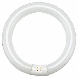 PHILIPS FC8T9/COOL WHITE PLUS Circular Fluorescent Bulb, T9 | CT7RAA 492Y30