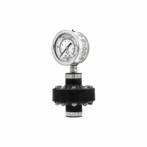 PIC GAUGES 301L254E/CPTP200 Pressure Gauge With Diaphragm Seal, 0 To 100 PSI, 301L/Cptp, 2 1/2 Inch Dial, Pvc | CT7TQB 54XN83