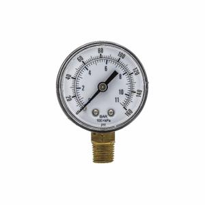PIC GAUGES SEP-101D-204F-BSPT Industrial Pressure Gauge, 0 To 160 PSI, 2 Inch Dial, 1/4 Inch Npt Male, Copper, Dual | CT7THV 54XP11