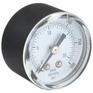 PIC GAUGES SEP-102D-158H-BSPT Industrial Pressure Gauge, 0 To 300 PSI, 1 1/2 Inch Dial, 1/8 Inch Npt Male, Center Back | CT7TKZ 54XP29