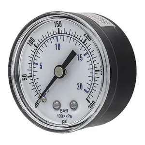 PIC GAUGES SEP-102D-204H-BSPT Industrial Pressure Gauge, 0 To 300 PSI, 2 Inch Dial, 1/4 Inch Npt Male, Center Back | CT7TRJ 54XP37