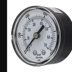 PIC GAUGES SEP-102D-204M-BSPT Industrial Pressure Gauge, 0 To 1000 PSI, 2 Inch Dial, 1/4 Inch Npt Male, Center Back | CT7TGG 54XP38