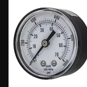 PIC GAUGES SEP-102D-204M Industrial Pressure Gauge, 0 To 1000 PSI, 2 Inch Dial, 1/4 Inch Npt Male, Center Back | CT7TGH 54XP67