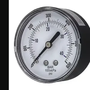 PIC GAUGES SEP-102D-254K-BSPT Industrial Pressure Gauge, 0 To 600 PSI, 2 1/2 Inch Dial, 1/4 Inch Npt Male, Center Back | CT7TNL 54XP45