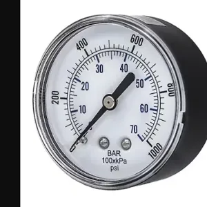 PIC GAUGES SEP-102D-254M-BSPT Industrial Pressure Gauge, 0 To 1000 Psi, 2 1/2 Inch Dial, 1/4 Inch Npt Male, Center Back | CT7TGA 54XP46