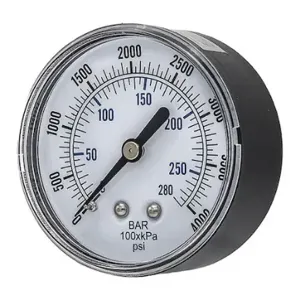 PIC GAUGES SEP-102D-254Q Industrial Pressure Gauge, 0 To 4000 Psi, 2 1/2 Inch Dial, 1/4 Inch Npt Male, Center Back | CT7TLJ 54XP76