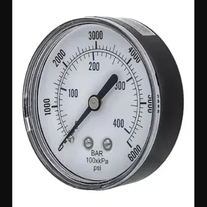 PIC GAUGES SEP-102D-254S Industrial Pressure Gauge, 0 To 6000 Psi, 2 1/2 Inch Dial, 1/4 Inch Npt Male, Center Back | CT7TMP 54XP78