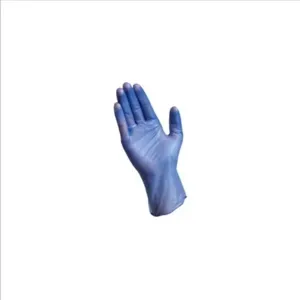 PIP 64-V77BPF/L Hand Protection Disposable Gloves, L, Clear, Box | CL9JUK