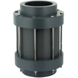 PLAST-O-MATIC CKS300VT-NC-PF Check Valve, Threaded PVC Connection, PVDF, 3 Inch Size | CD4HBZ