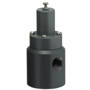 PLAST-O-MATIC RVD025V-CP By-Pass Valve, Back Pressure, 90 Deg. Diaphragm, CPVC, 1/4 Inch Size | CD4HYM