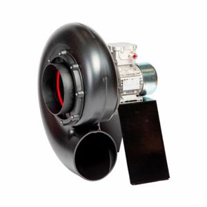 PLASTEC P25XS4P050 Blower, 10 Inch Wheel Dia, Direct Drive, Includes Drive Pack with Motor, 1/2 hp | CT7UZC 61DC56