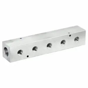 PNEUMADYNE INC M40-500-5 Manifold, Inline, 6061 Aluminum, 5 Outlets, 1 Inch Female Npt Inlet | CT7VBJ 49AV66