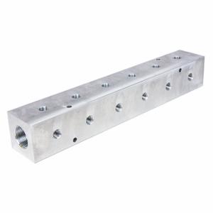 PNEUMADYNE INC M40-500-6-90 Manifold, Right-Angle, 6061 Aluminum, 6 Outlets, 1 Inch Female Npt Inlet | CT7VCA 49AV81