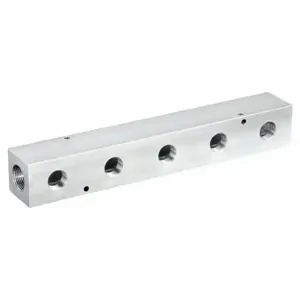 PNEUMADYNE INC M40-750-5 Manifold, Inline, 6061 Aluminum, 5 Outlets, 1 Inch Female Npt Inlet | CT7VBK 49AV73