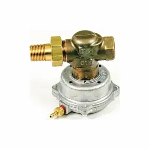 POWERS 257-02035 Valve Assembly | CT7WVJ 40LY60