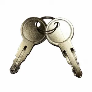 PRO1 IAQ T150K Replacement Keys, Steel | CT7ZYE 60FD41