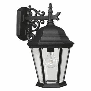 PROGRESS LIGHTING P5683-31 Wall Lantern, 100 W Fixture Watt, 120VAC, Incandescent, 41 to 100 W | CT8AHF 44MH38