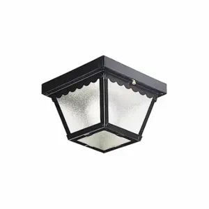 PROGRESS LIGHTING P5727-31 Light, 60 W Fixture Watt, 120V AC, Aluminum | CT8AHZ 44MH80