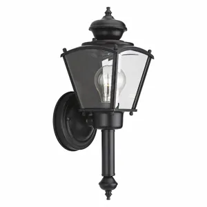 PROGRESS LIGHTING P5846-31 Wall Lantern, 60 W Fixture Watt, 120VAC, Incandescent, 41 to 100 W | CT8AHM 44MJ83