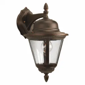 PROGRESS LIGHTING P5863-20 Wall Lantern, 100 W Fixture Watt, 120VAC, Incandescent, 41 to 100 W | CT8AHC 44MJ97