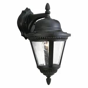 PROGRESS LIGHTING P5863-31 Wall Lantern, 100 W Fixture Watt, 120VAC, Incandescent, 41 to 100 W | CT8AHJ 44MK03