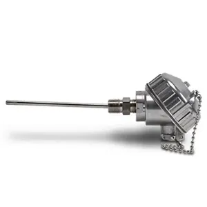 PROSENSE RTD1-C06-03 Temperature Sensor, Connection Head Spring-Loaded Probe, 6 Inch Insertion Length | CV7YQZ