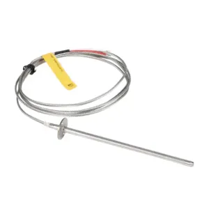 PROSENSE THMJ-F06L06-01 Temperature Sensor, Type J Thermocouple, Flange Mount Probe, Ungrounded Junction | CV7YUT