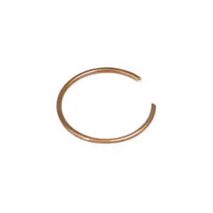 PROTEAM 100100 Replacement Ring | CT8DKT 30J380