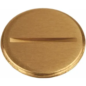 RACO 6226 Round Brass Flush Replacement Plug | CD2FHF 52AW84