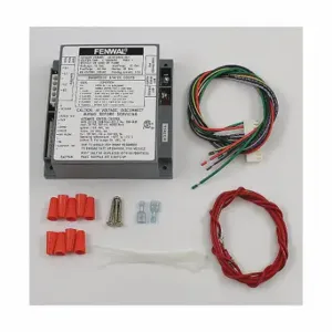 RAYPAK 007374F Module, 24V, HIS | CT8UZN 35YK63