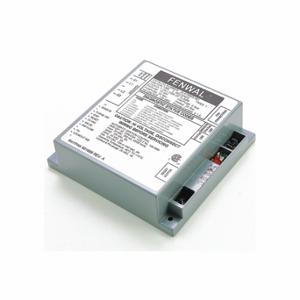 RAYPAK 009057F Ignition Control Board, 120V | CT8UZK 62YC31