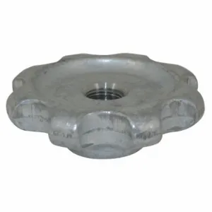 RAYTECH 07-943 Lid Nut | CT8VAU 5UJL2