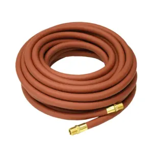 REELCRAFT S601021-50 Hose, Inner Diameter 1/2 Inch, Hose Length 50 Feet | BT8DLG