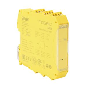 REER MOSAIC-MR4 Safety Relay Extension Module, 24 VDC, 4 N.O. Safety Output, 2 N.C. Monitoring Output | CV7TTQ